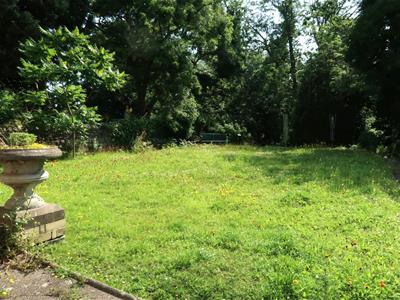 Picture 15